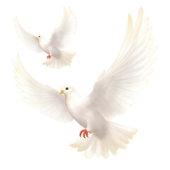 Fototapeta premium A group of white pigeons flying isolated on transparent background.