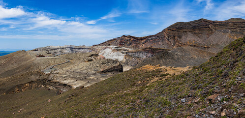 Obraz premium 熊本県阿蘇山 ミヤマキリシマの群生地 砂千里から皿山までの登山道