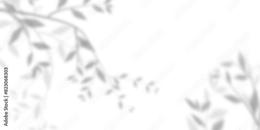 Wall mural blurred and gradient background of tree leaves. natural pattern, gray shadow. copy space and transpa