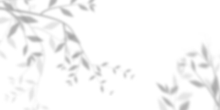 Blurred and gradient background of tree leaves. Natural pattern, gray shadow. Copy space  and transparent background with png