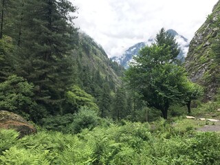 Treking in the Mountains of India