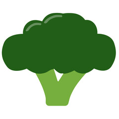 Broccoli vector isolated on white