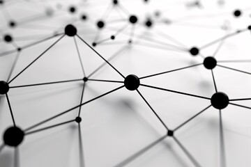 a close-up of a network