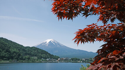 red maple leaves and the background of Mt fuji in Kawaguchiko
