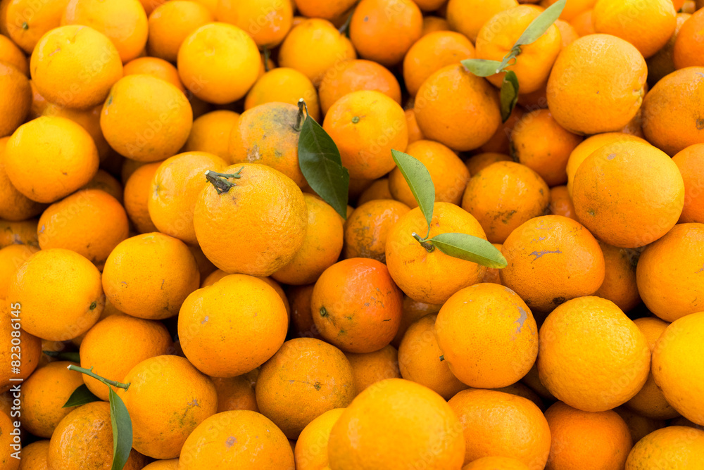 Poster Citrus sell in the fruit store in the market