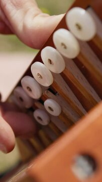 Musician Boy Plays Tarantella Music Calabria With Accordion Instrument Outdoor