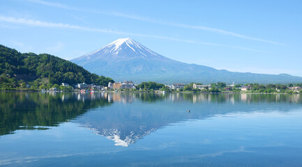 a small duck crossing the reflection of Mt fuji in lake kawaguchi