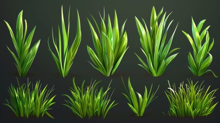 Fototapeta premium A realistic set of green grass sprouts, illustrated in a detailed and lifelike manner, suitable for various botanical and natural-themed projects.