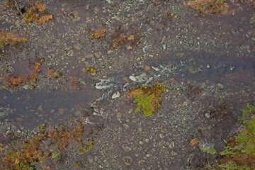 Aerial view of flowing rapids in cloudy weather, Ovre Pasvik National Park, Norway.