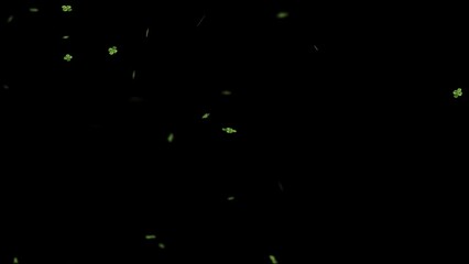 Clover leaves falling in the wind on a black background - Powered by Adobe