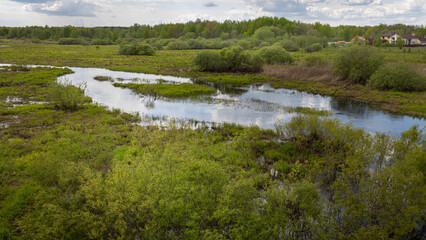 A wetland ecosystem with a meandering river, lush greenery, and reflective water, showcasing the tranquility and biodiversity of nature's wilderness