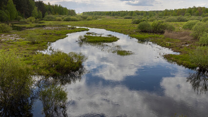 A serene landscape with a meandering river reflecting the surrounding greenery and forest. The tranquil setting showcases the diverse ecosystem and pristine natural beauty.