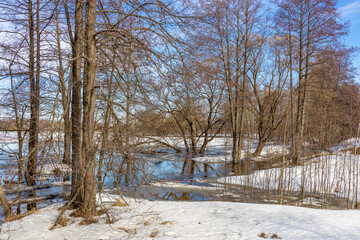  The foreground is dominated by a snow-covered ground, with patches of blue water and ice, indicating that the area may be a wetland or a pond that is partially frozen.