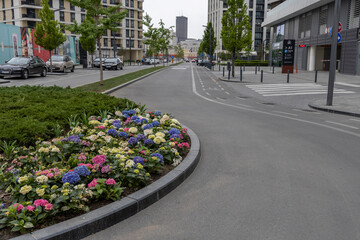 A serene urban setting featuring a circular arrangement of colorful hortensias in grey pots, bordered by a paved road and a grassy area. The scene is peaceful, with a pedestrian 