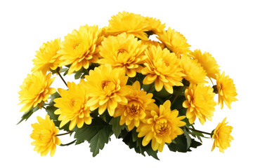 Sunshine Symphony: A Bouquet of Yellow Flowers on Transparent PNG Background.