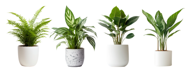 Plant pot png element set on transparent background