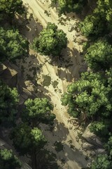 DnD Battlemap Forest in the Singing Sands - Beautiful landscape with trees in a desert setting.