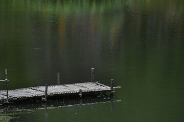 Bamboo dock in a green lake