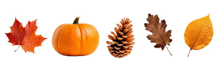 Autumn element png element set on transparent background