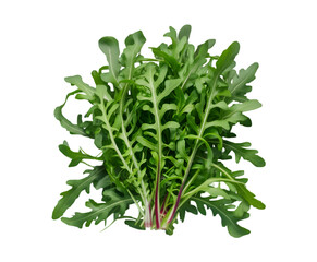 Obraz premium Fresh arugula leaves isolated on transparent background Ai generative.