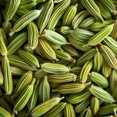 Fennel seeds texture background, Foeniculum vulgare pattern, fennel banner, finocchio mockup