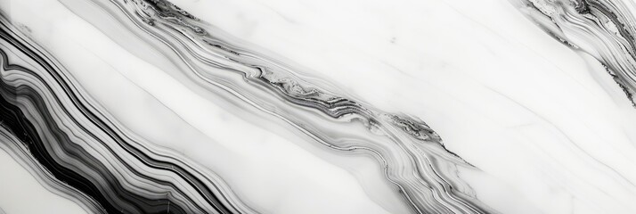 Elegant Black and White Marble Texture