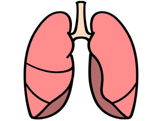 シンプルでかわいい肺のイラスト素材