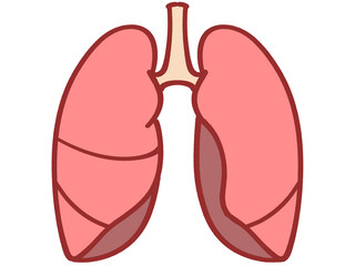 シンプルでかわいい肺のイラスト素材