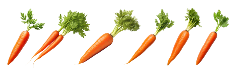 Carrot png element set on transparent background