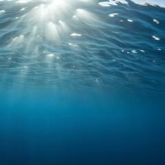 
This image shows an underwater scene with sunlight streaming through the water, creating a serene blue background.