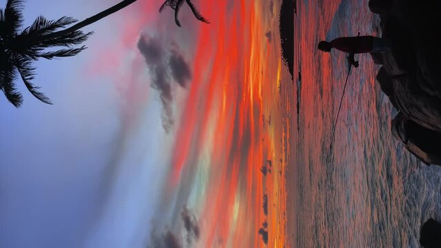 a fisherman on the seashore next to palm trees against the background of a fiery sunset. A scarlet sunset on the ocean shore.