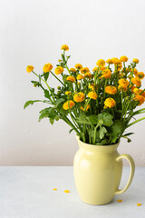 Home interior, Ranunculus flowers in a vase on the table, spring flowers buttercup