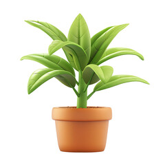 3d illustration of green plant in pot, transparent background