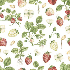 Watercolor strawberry seamless pattern, nature life cycle with plants repeat paper, garden plant textile background