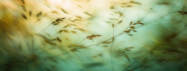 Abstract Blurry Grass Background with Warm Light