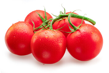 Red campari tomatoes with water drops. Tomato branch isolated on white background. Macro shot.