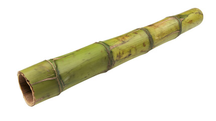 unripe bamboo trunk isolated on transparent white background, clipping path