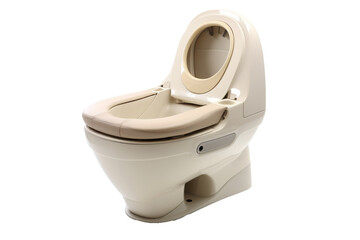 flush toilet isolated on white