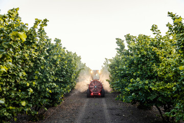 Agricultural vehicle with big sprayer machine spraying orchard with herbicide.