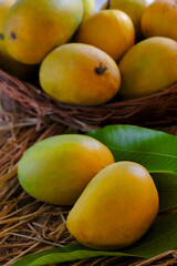 Fresh Organic Ripe Mango Fruit with leaves. 