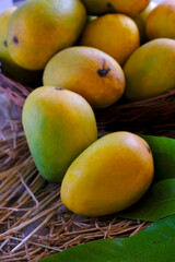 Fresh Organic Ripe Mango Fruit with leaves. 