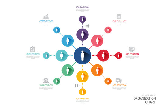 Infographic template for organization chart with business avatar icons. vector infographic for business.