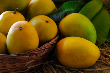 Fresh Mango tropical fruit with green leaf, Ripe mango in grass.