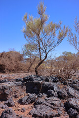 Manganese ore outcrops, mined in Western Australian Outback