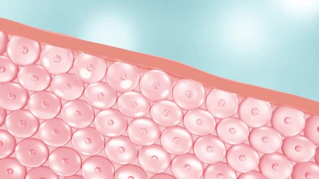 Collagen molecules inside the transparent liquid bubble on a soft base fall onto the skin layer, giving the skin increased elasticity. 3d rendering.