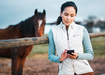 Woman, horse and smartphone for communication, contact and social media post of equestrian in...