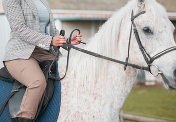 Equestrian, horse and person closeup in saddle training for sport or adventure in countryside....