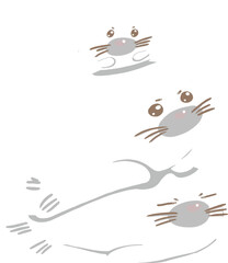 Cute white seal with red ball