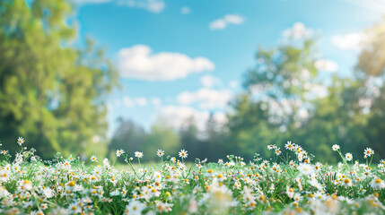 Beautiful blurred spring background nature with bloomi
