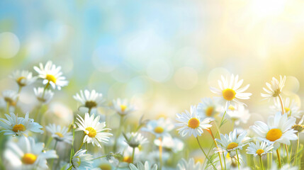 Beautiful blurred spring floral background nature with